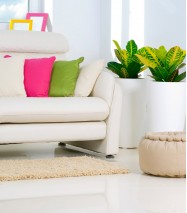 Eco-Friendly Home Cleaning Service