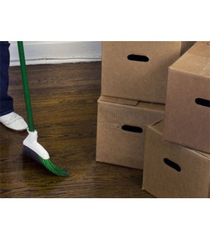 Move IN or OUT Cleaning